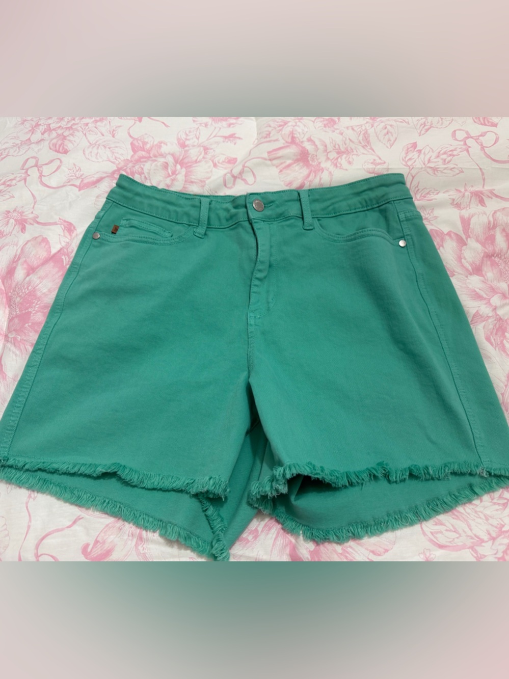 Judy Blue Teal Frayed Hem Denim Shorts